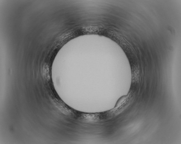 X0000112000187200908311122