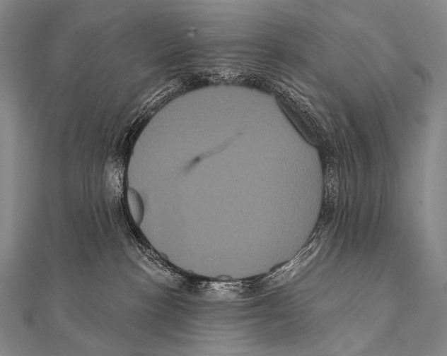 X0000112000188200908311122