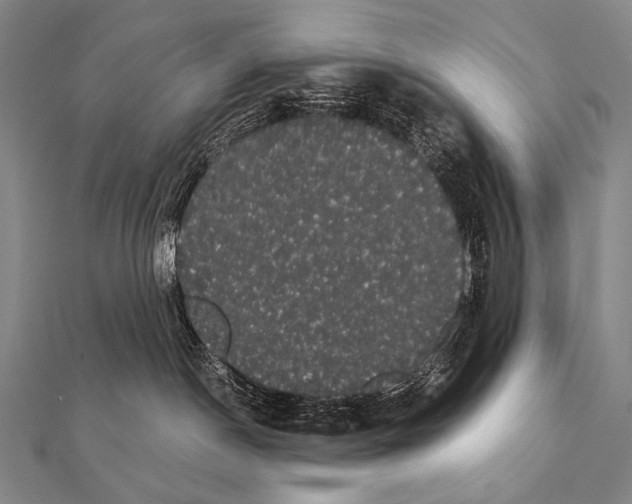 X0000112000190200908311122