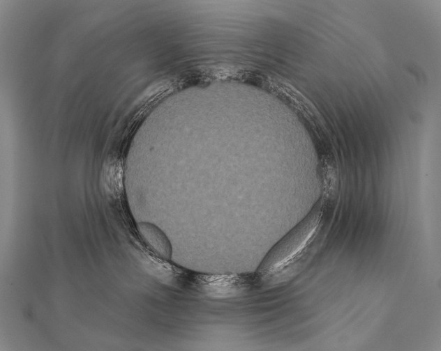 X0000112000191200908311122