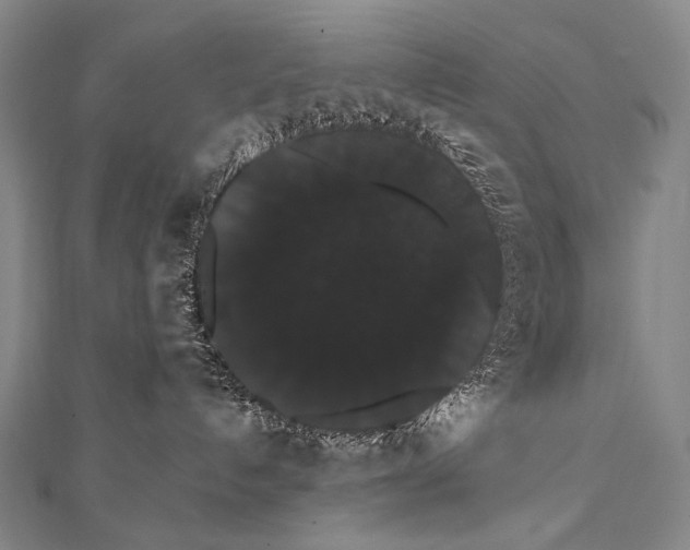 X0000112000192200908311122