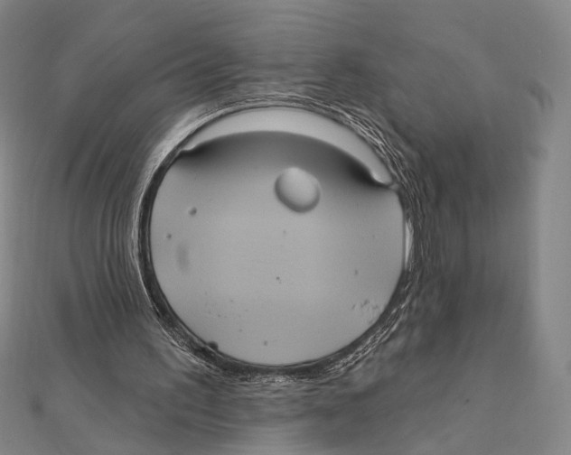 X0000112000195200908311121