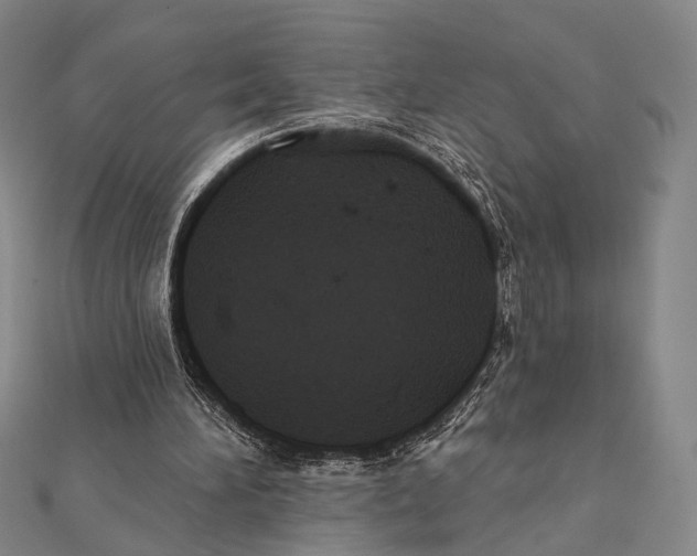 X0000112000196200908311121