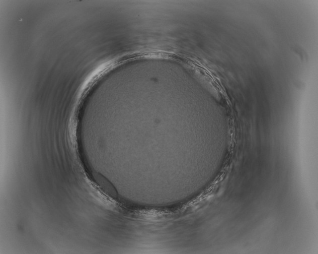 X0000112000197200908311121