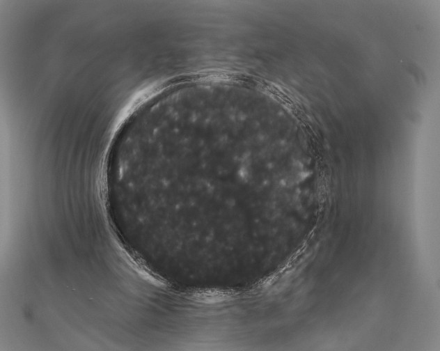 X0000112000198200908311121