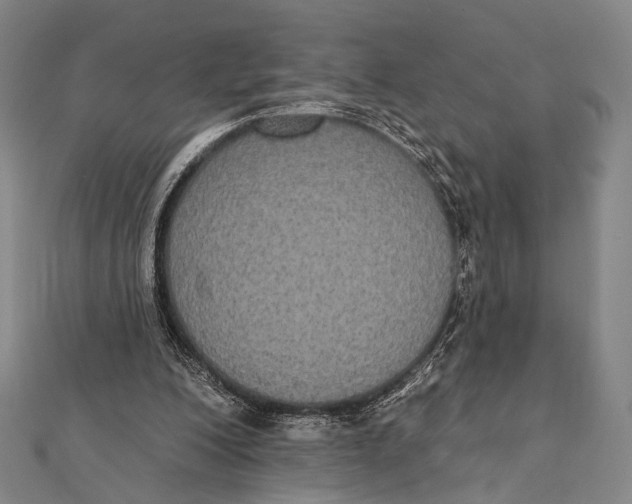 X0000112000200200908311121