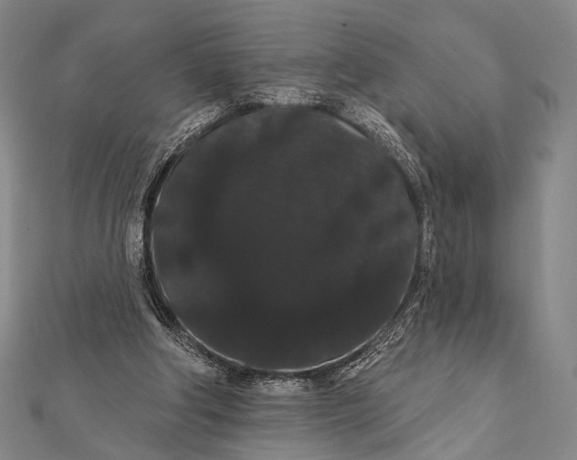 X0000112000202200908311121