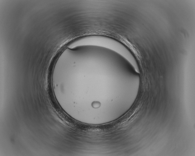 X0000112000203200908311121