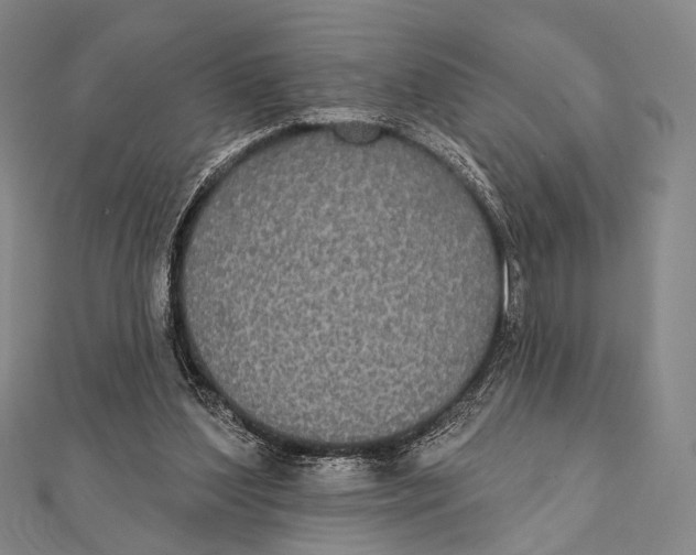 X0000112000204200908311121