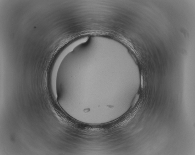 X0000112000205200908311121