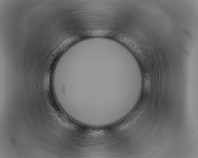 X0000112000206200908311121