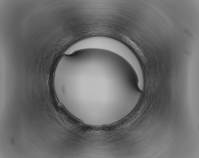 X0000112000209200908311121