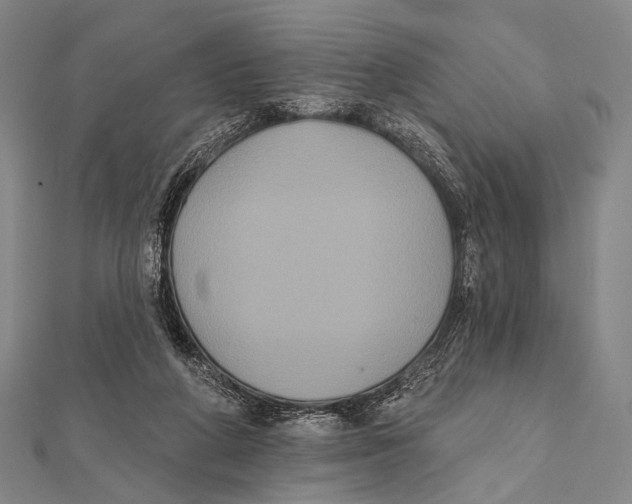 X0000112000210200908311121