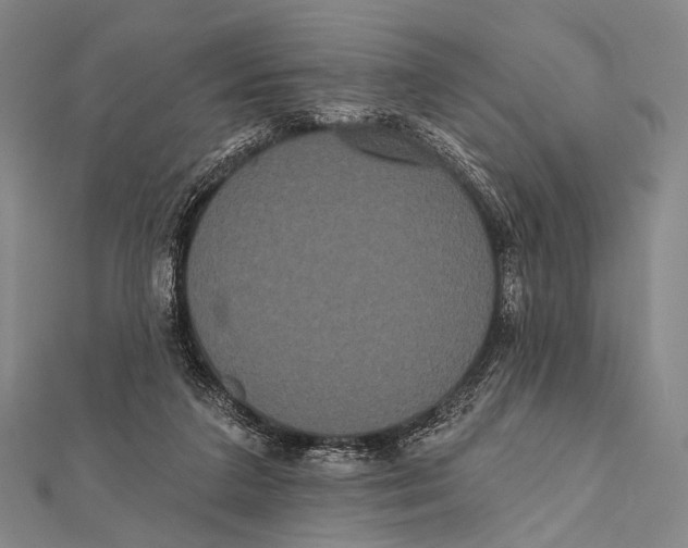 X0000112000211200908311121