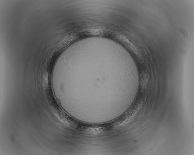 X0000112000213200908311121