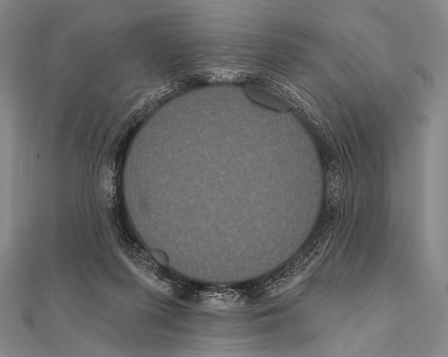 X0000112000215200908311121