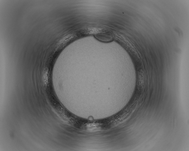 X0000112000216200908311121