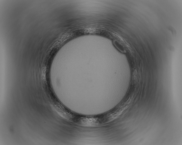 X0000112000217200908311121