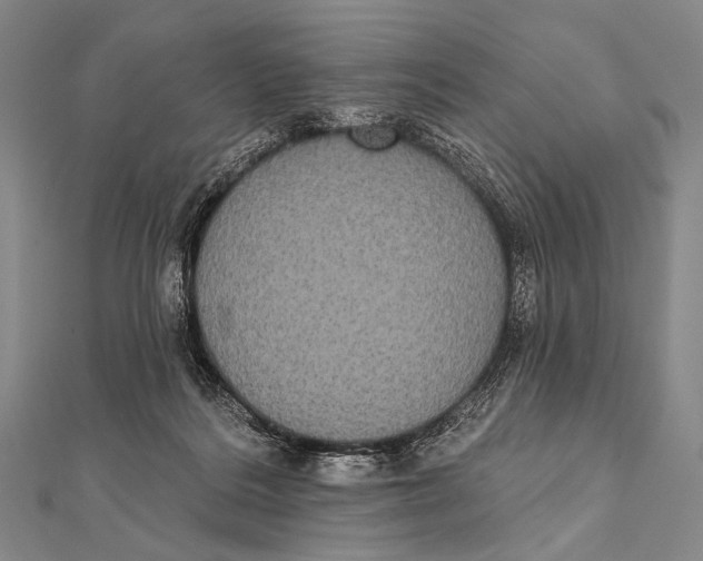 X0000112000220200908311121