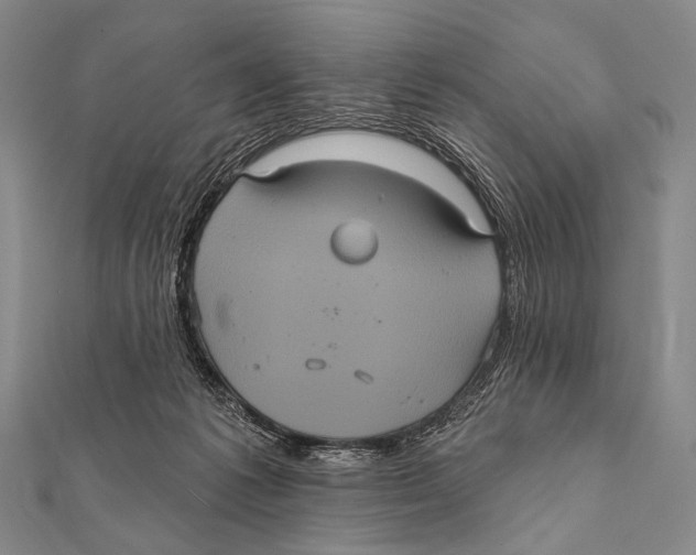 X0000112000221200908311121