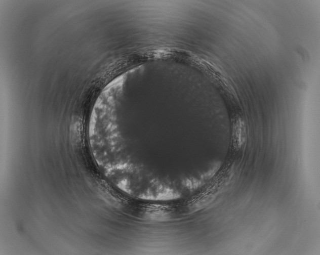 X0000112000222200908311121