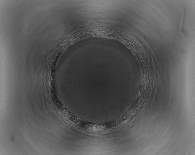 X0000112000223200908311120