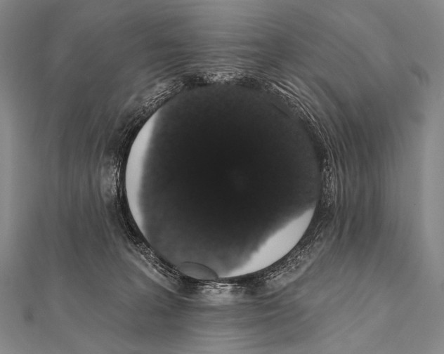 X0000112000227200908311120