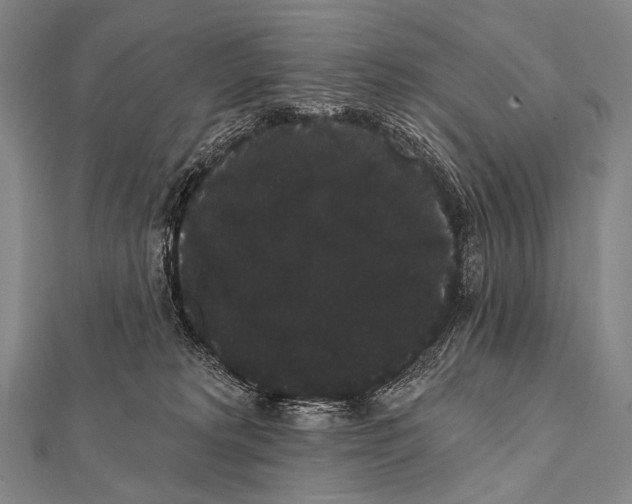 X0000112000229200908311120