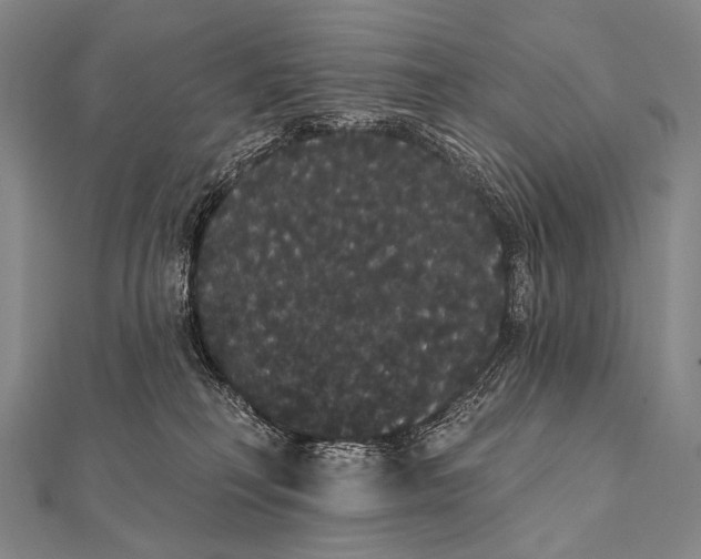 X0000112000230200908311120