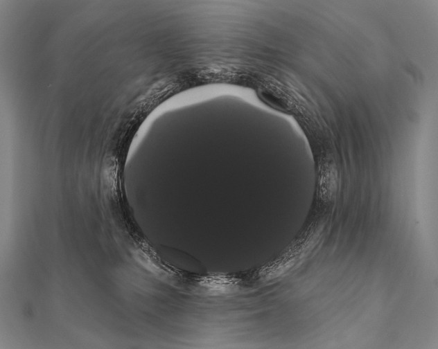 X0000112000231200908311120