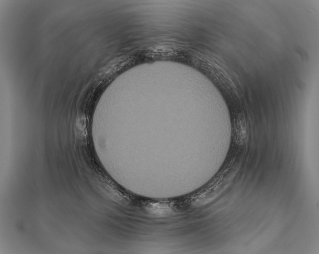 X0000112000232200908311120