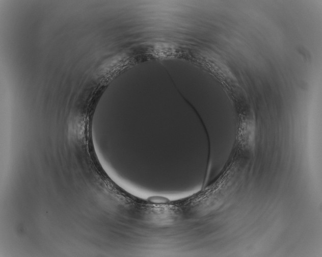 X0000112000233200908311120