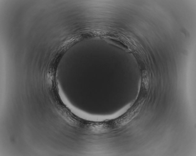 X0000112000235200908311120