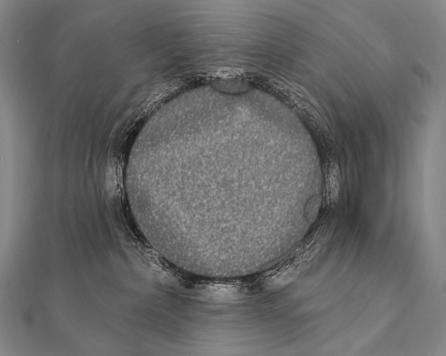 X0000112000236200908311120