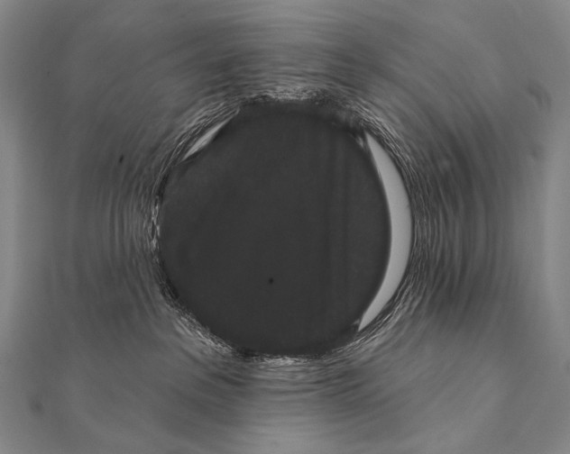 X0000112000237200908311120