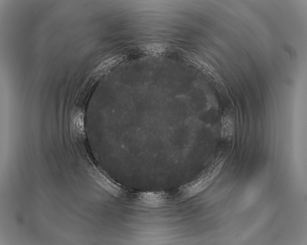 X0000112000238200908311120