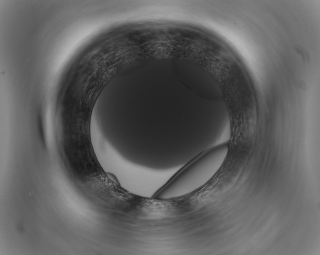 X0000112000239200908311120