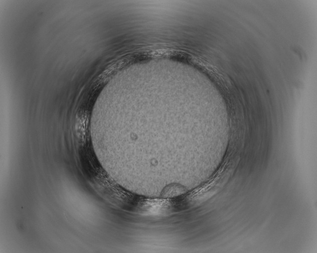 X0000112000240200908311120