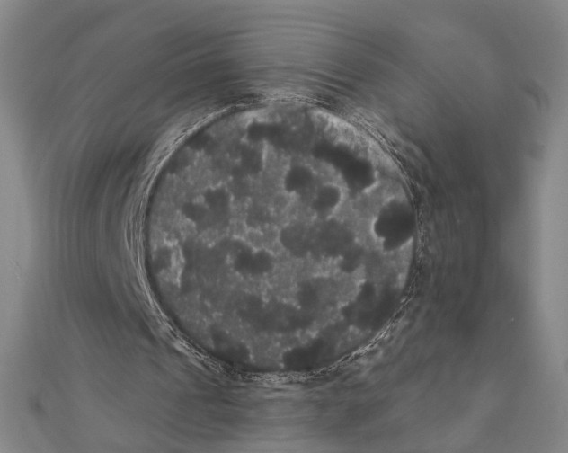 X0000112000241200908311120