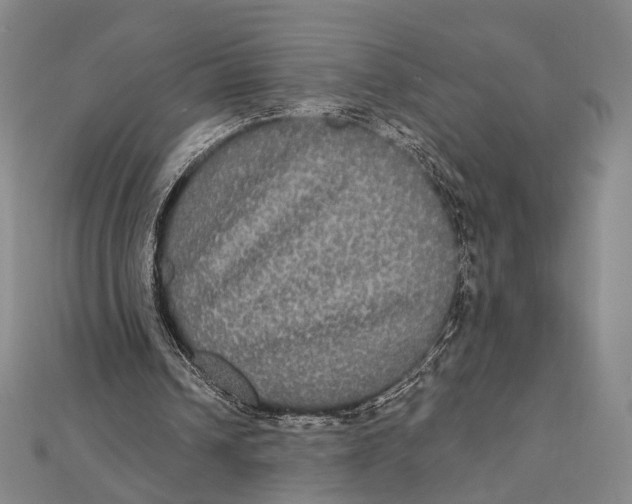 X0000112000242200908311120