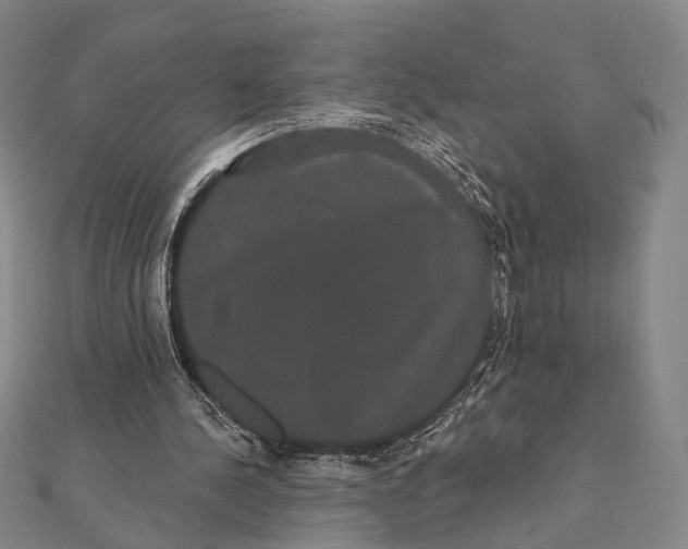 X0000112000244200908311120