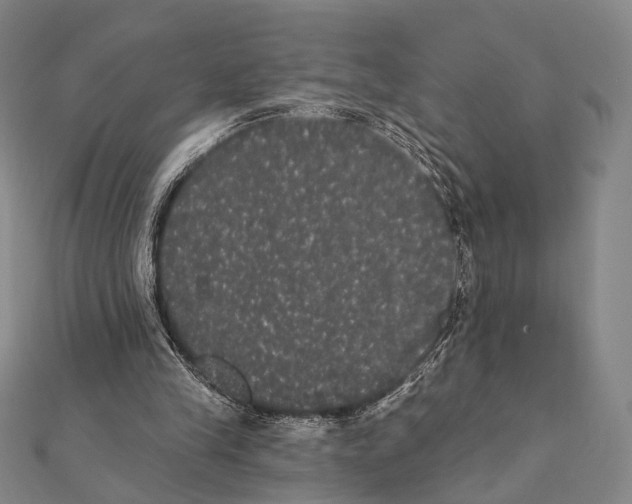 X0000112000245200908311120