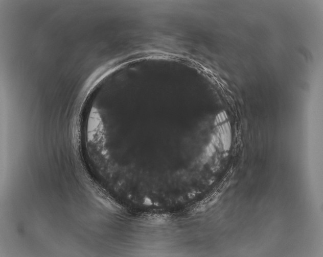 X0000112000247200908311120