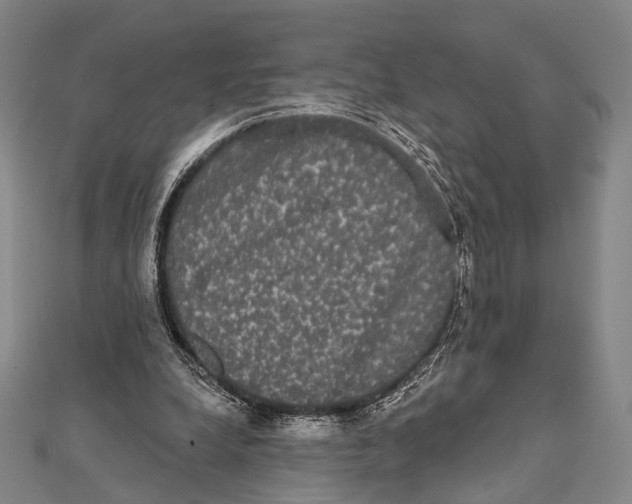 X0000112000248200908311120