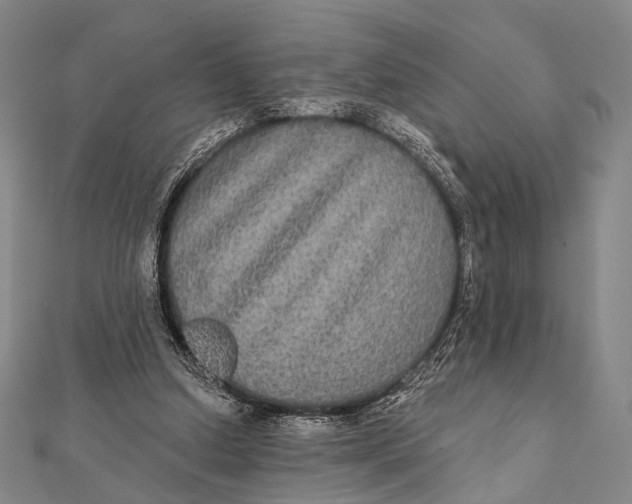 X0000112000250200908311120