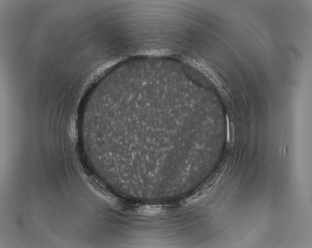 X0000112000252200908311120