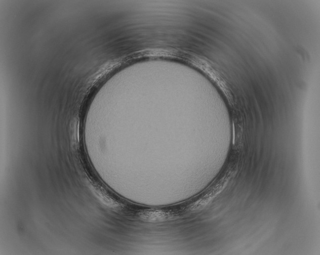 X0000112000253200908311120