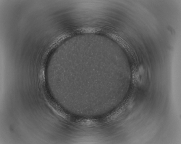 X0000112000254200908311120