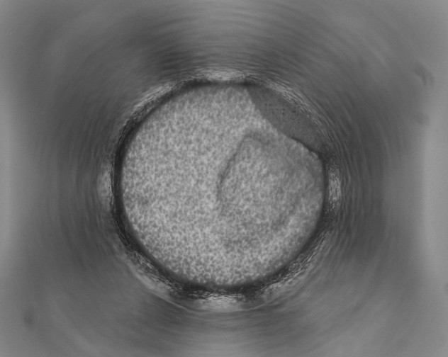 X0000112000256200908311120