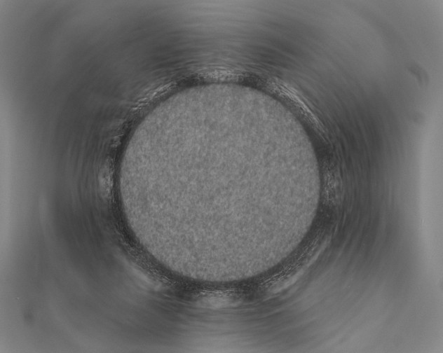 X0000112000259200908311120